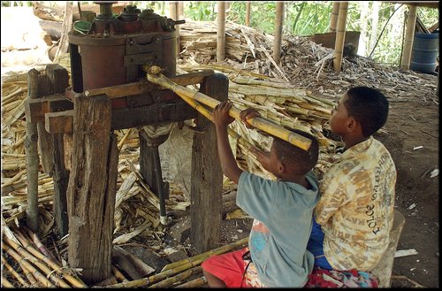 62 Produzione di panela.jpg