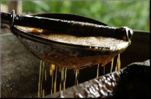 68 Produzione di panela.jpg