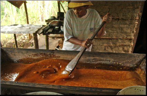 69 Produzione di panela.jpg