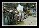 13 - cauca. toribo. bandiera bianca sulla casa.jpg