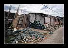 15 - cauca. toribo.jpg