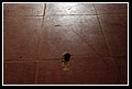 11 Scuola colpita.jpg