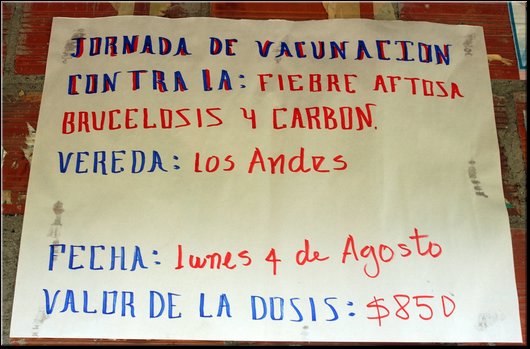 37 Los Andes.jpg