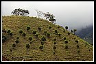 27 Los Andes.jpg