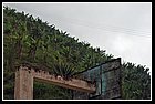 33 Los Andes.jpg
