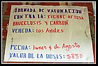 37 Los Andes.jpg