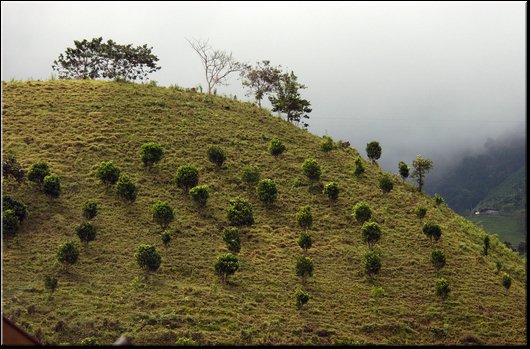 27 Los Andes.jpg