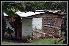 173 Guavito.jpg