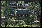 291 Fiume Baudó Pié de Pató.jpg