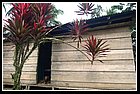 403 Santa Rita.jpg