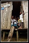 418 Chicorodó.jpg