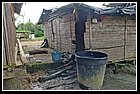 421 Chicorodó.jpg