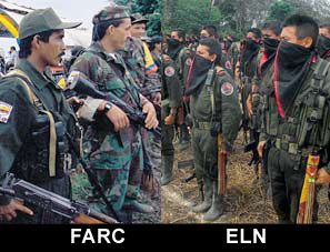 elnfarc