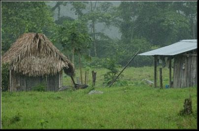 Uwa Chivaraquia 03.jpg