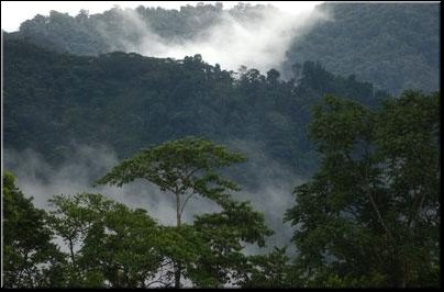 Uwa Chivaraquia 04.jpg