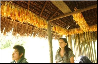 Uwa Chivaraquia 19.jpg