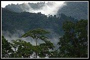 Uwa Chivaraquia 04.jpg