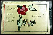 Uwa Chivaraquia 06.jpg