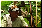 Uwa Chivaraquia 20.jpg