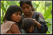 Uwa Chivaraquia 21.jpg