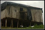 Bolivador 01.jpg