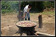 Guahjbos 04.jpg