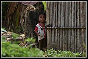 Guahjbos 09.jpg