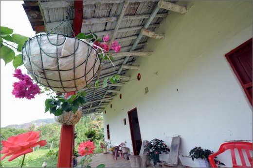 035 - huila. vereda la honda. gigante.jpg