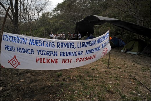 061 - huila.  el hobo. quebrada el pescador.  nell'accampamento.jpg
