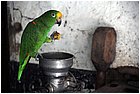019 - huila. vereda la honda. gigante.jpg