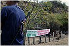 064 - huila.  el hobo. quebrada el pescador.  nell'accampamento.jpg