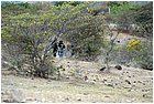 027 - huila. quebrada el pescador. blocco strada..jpg