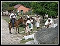 Redher_P1010326.jpg
