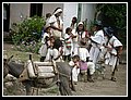 Redher_P1010328.jpg