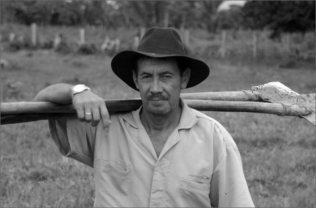 116404---colombia----arauca-la-veinte(fortul)-campesino-ritorna-dopo-sradicamento-coca-con-pale-in-spalla----lug-2008-.jpg