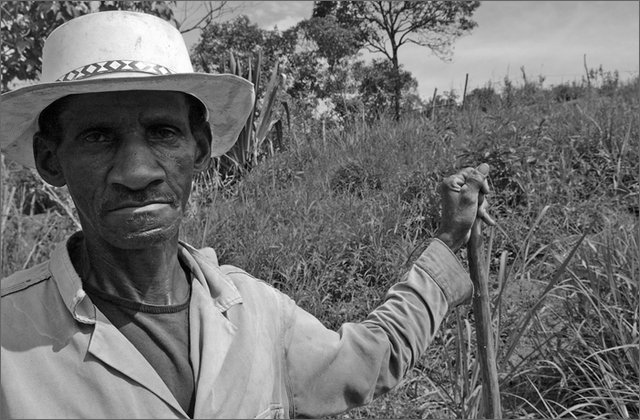 117173---colombia----nord-del-cauca.-surez.-vereda-di-yolomb-campesino----lug-2008-.jpg