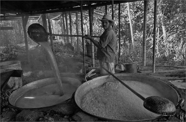 117405---colombia----nord-del-cauca.-surez.-vereda-di-yolomb.-lavorazione-della-panela----lug-2008-.jpg