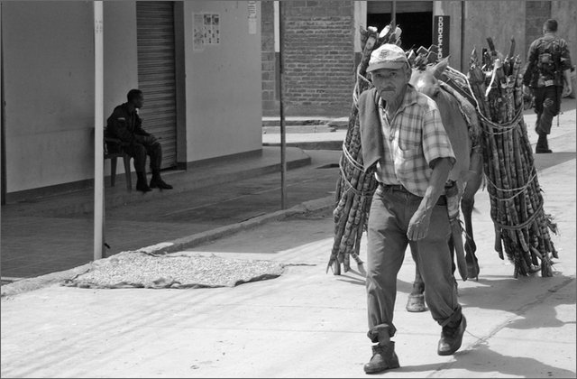 117659---colombia----nord-del-cauca.-toribo.-campesino-trasporta-canne-con-polizia-sullo-sfondo----ago-2008-.jpg