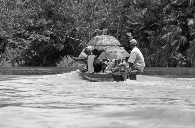 118457---colombia----choc---lungo-il-fiume-munguid----ago-2008-.jpg