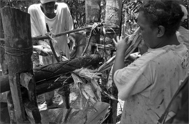 118564---colombia----choc---lungo-il-fiume-munguid.-dintorni-di-el-jaguo.-trapiche-per-la-produzione-di-panela----ago-2008-.jpg