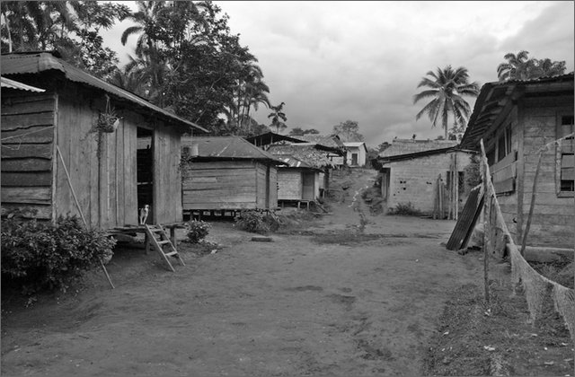 118771---colombia----choc---lungo-il-fiume-munguid.-uuinand,----ago-2008-.jpg