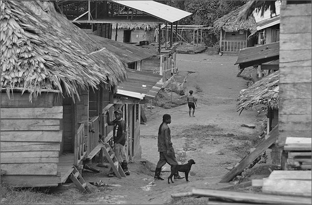 118776---colombia----choc---lungo-il-fiume-munguid.-uuinand,----ago-2008-.jpg