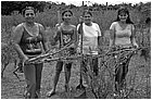 116434---colombia----arauca-la-perrera-(fortul)-contadini-e-contadine-sradicano-la-coca----lug-2008-.jpg