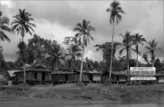 119330---colombia----choc---fiume-baud.-viaggio-da-amparad-a-pi-de-pat----ago-2008-.jpg