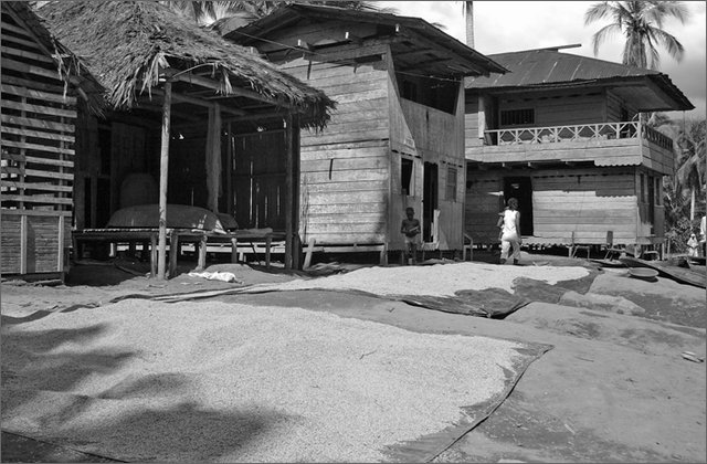 119366---colombia----choc---fiume-baud.-nauca----ago-2008-.jpg