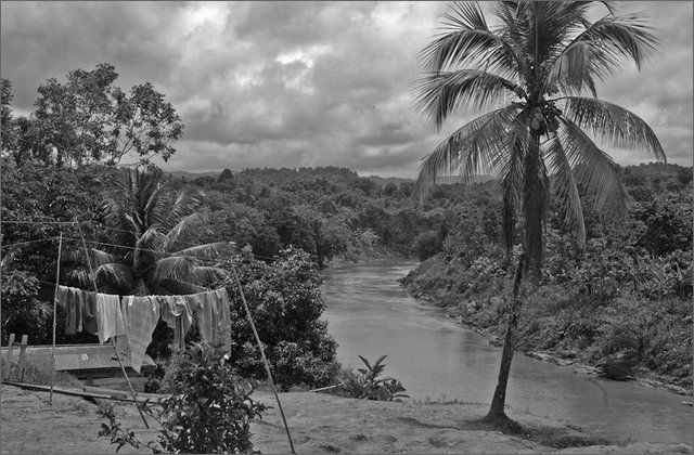 119504---colombia----choc---fiume-baud---chachajo.-rio-baud----ago-2008-.jpg