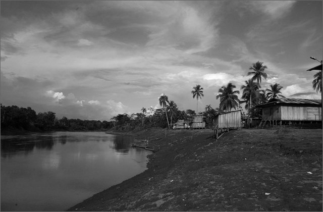 120111---colombia----choc---fiume-baud---apartad.-veduta-del-fiume-baud-dal-villaggio-con-le-case-e-le-palme----ago-2008-.jpg