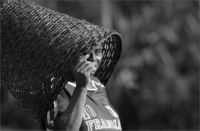 120126---colombia----choc---fiume-baud---apartad.-indigena-con-cesta-sulla-testa----ago-2008-.jpg