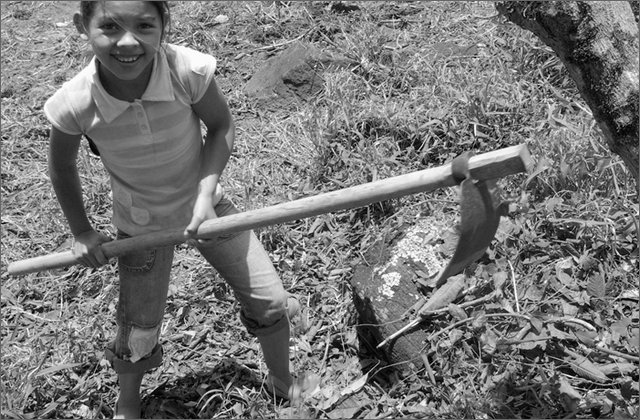 120274---colombia----antioquia.-medellin.-quartiere-desplazados-la-aurora-(robledo)-durante-attivit-educativa-produttiva-aca-----set-2008-.jpg