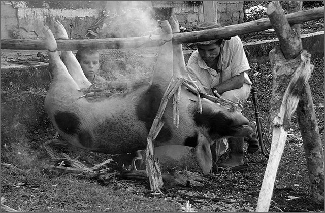 120769---colombia----antioquia.-municipio-di-san-luis,-corregimiento-di-buenos-aires.-bruciando-un-maiale-per-togliere-i-peli----set-2008-.jpg